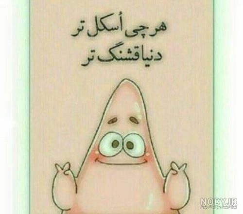 عکس خنده دار حیوانات عکس خنده دار حیوانات