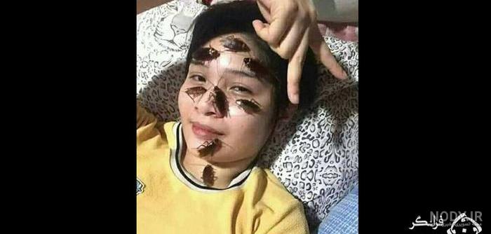 عکس سوسک ترسناک عکس سوسک ترسناک