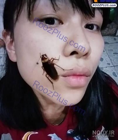 عکس سوسک ترسناک بزرگ عکس سوسک ترسناک بزرگ