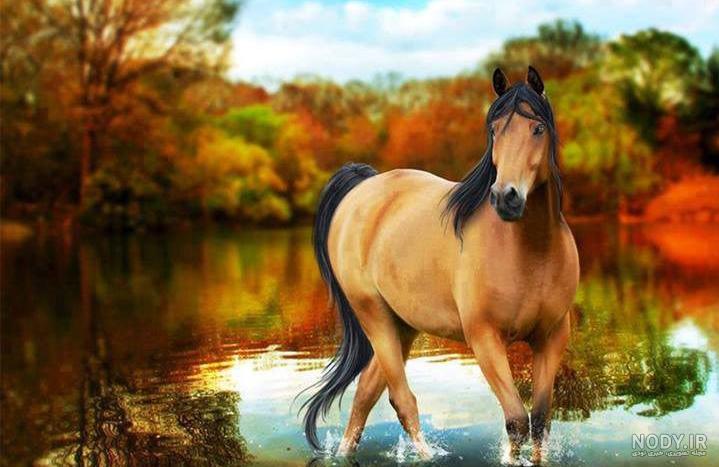 عکس طبیعت زیبا حیوانات