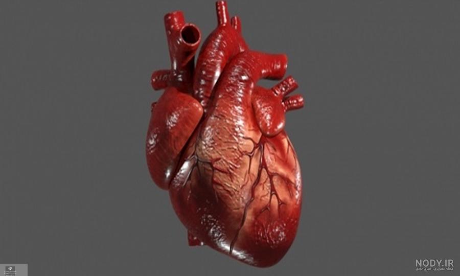 عکس قلب عاشقانه جدید عکس قلب عاشقانه جدید