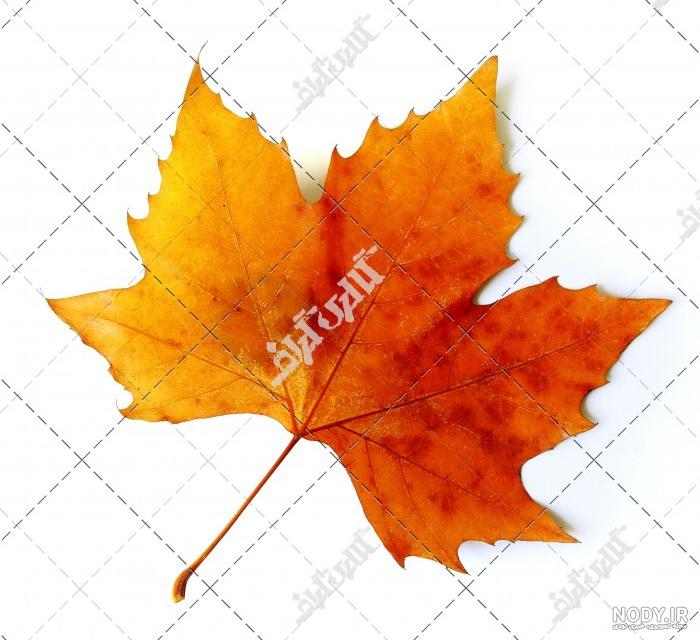 عکس نقاشی با برگ پاییزی عکس نقاشی با برگ پاییزی