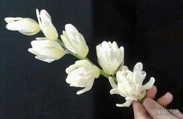 عکس گل زیبا عکس گل زیبا