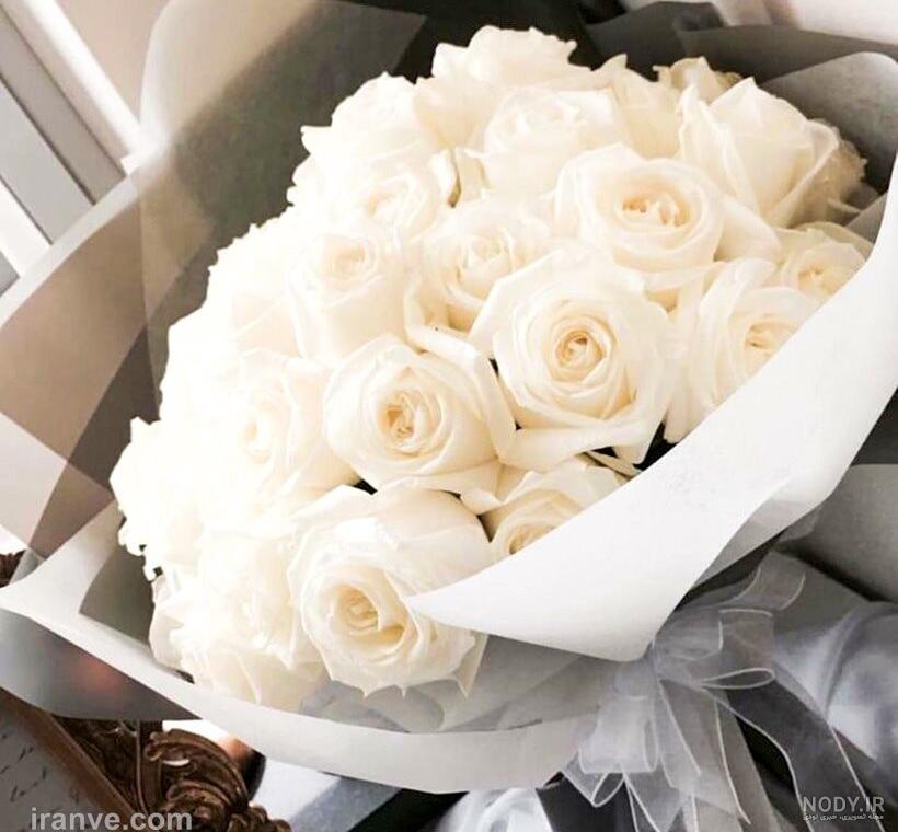 عکس گل سفید با زمینه مشکی عکس گل سفید با زمینه مشکی