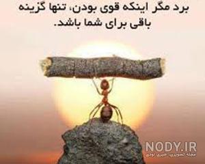 متن های خسرو شکیبایی برای پروفایل