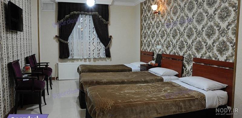 مرغ مینا گونه نماینده مرغ مینا گونه نماینده