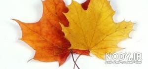 نقاشی باران پاییزی نقاشی باران پاییزی