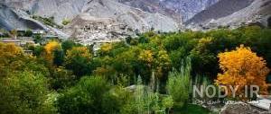 گرینه نیشابور
