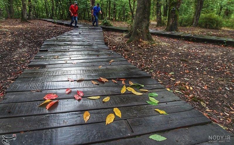  عکس باران پاییز