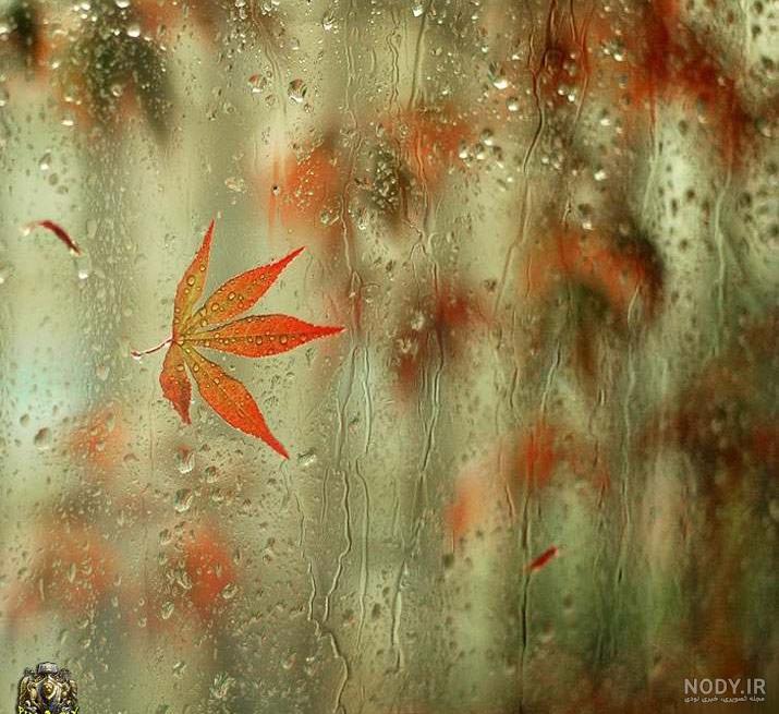  عکس باران پاییز