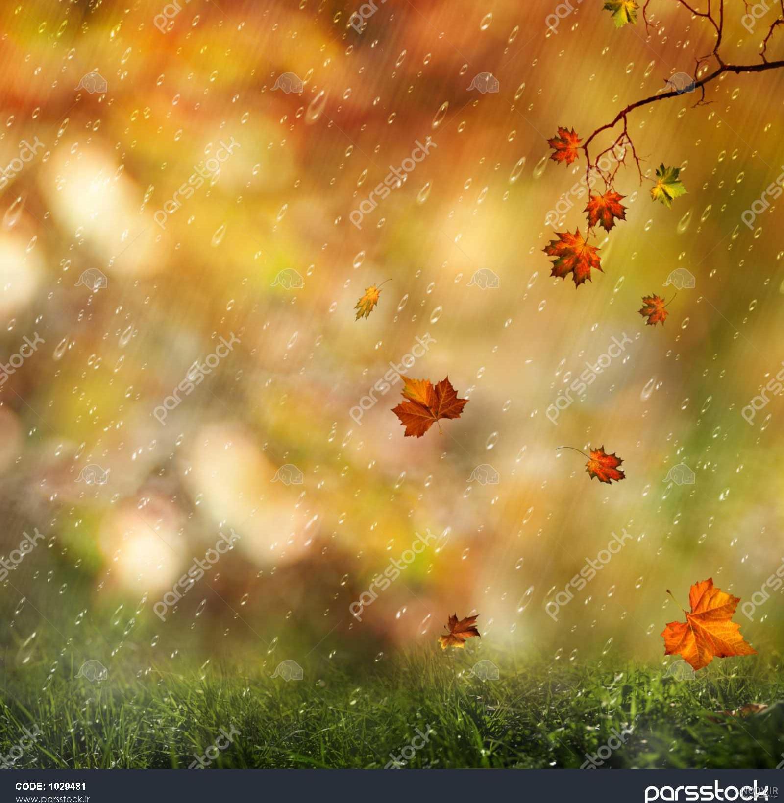  عکس باران پاییز