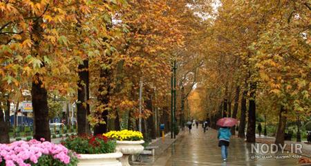  عکس باران پاییز