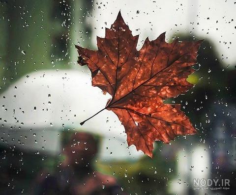  عکس باران پاییز