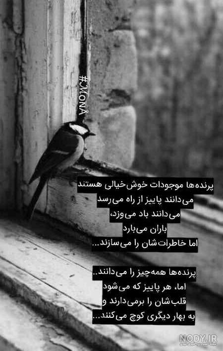 استوری معنی دار برای واتساپ
