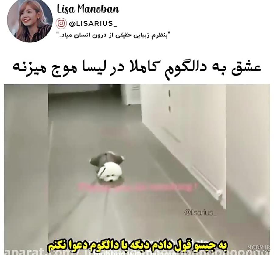 اسم گربه های لیسا اسم گربه های لیسا