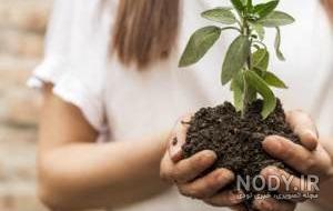 بهترین مارک خاک گلدان