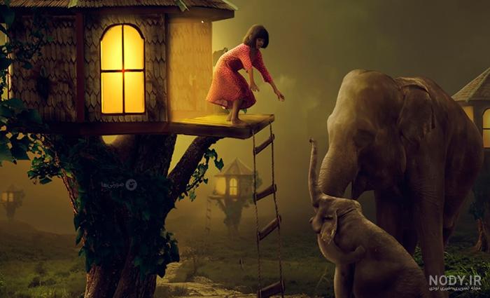 بچه فیل تازه متولد شده بچه فیل تازه متولد شده