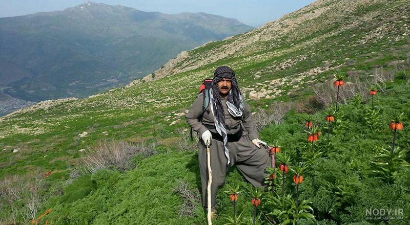 جاذبه گردشگری در جنوب ایران جاذبه گردشگری در جنوب ایران