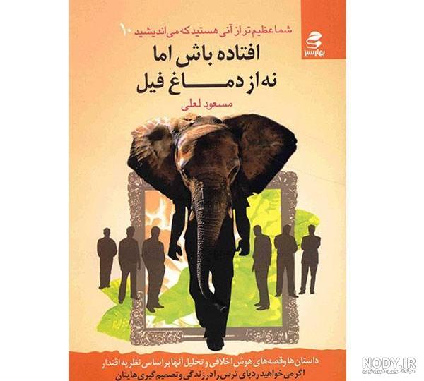 عکس بچه فیل عکس بچه فیل