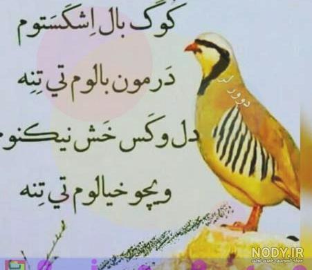 عکس دختر با لباس محلی ترکی