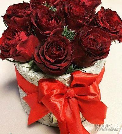 عکس دختر با گل رز برای پروفایل عکس دختر با گل رز برای پروفایل