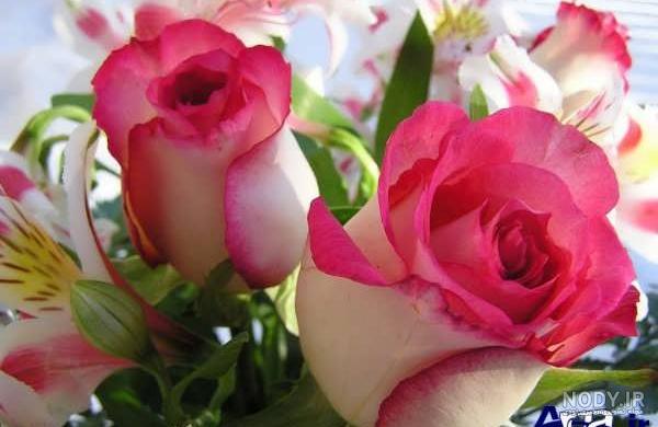 عکس دسته گلهای بسیار زیبا عکس دسته گلهای بسیار زیبا
