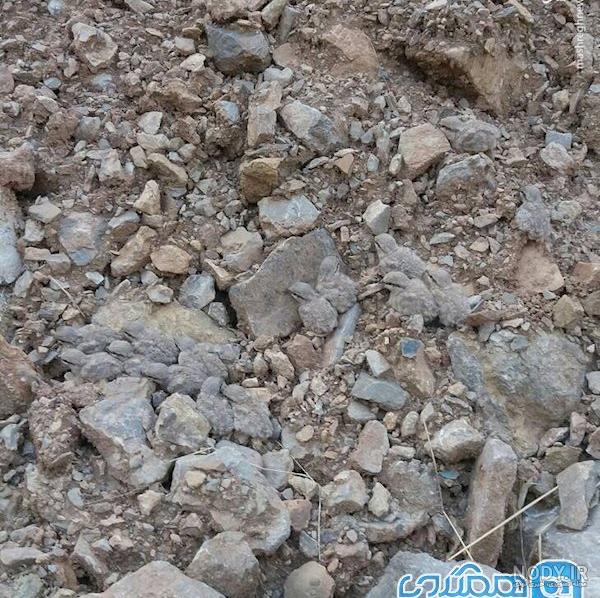 عکس سنگ های شگفت انگیز عکس سنگ های شگفت انگیز