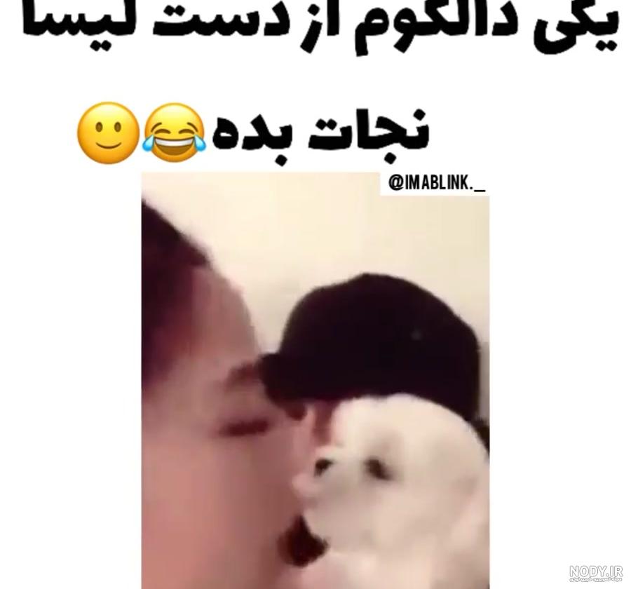 عکس سگ جنی بلک پینک عکس سگ جنی بلک پینک
