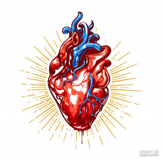 عکس قلب واقعی شکسته عکس قلب واقعی شکسته