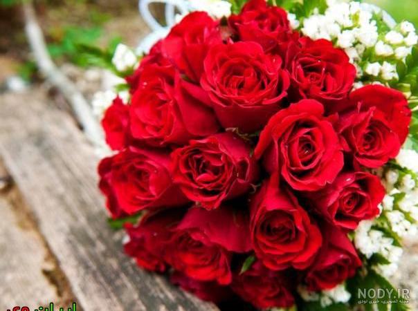 عکس گل طبیعی عکس گل طبیعی