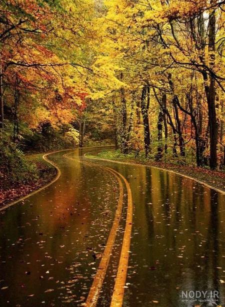 عکسهای پاییزی و بارانی عکسهای پاییزی و بارانی