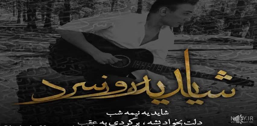 فیلم های ایرانی شادمهر عقیلی فیلم های ایرانی شادمهر عقیلی
