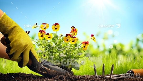 قیمت خاک گلدان