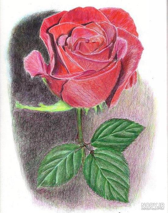 نقاشی گل زیبا و ساده