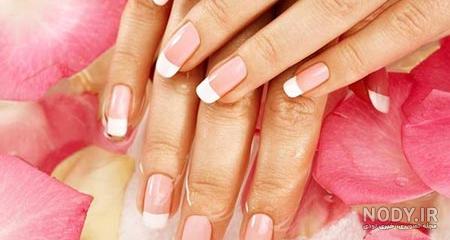 ژلیش بهتره یا لمینت نی نی سایت ژلیش بهتره یا لمینت نی نی سایت