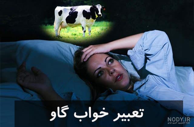 کشتن گاو با یک ضربه