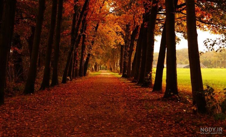 تصاویر زیبای پاییزی عاشقانه تصاویر زیبای پاییزی عاشقانه