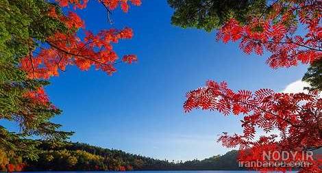 زیباترین عکسهای طبیعت