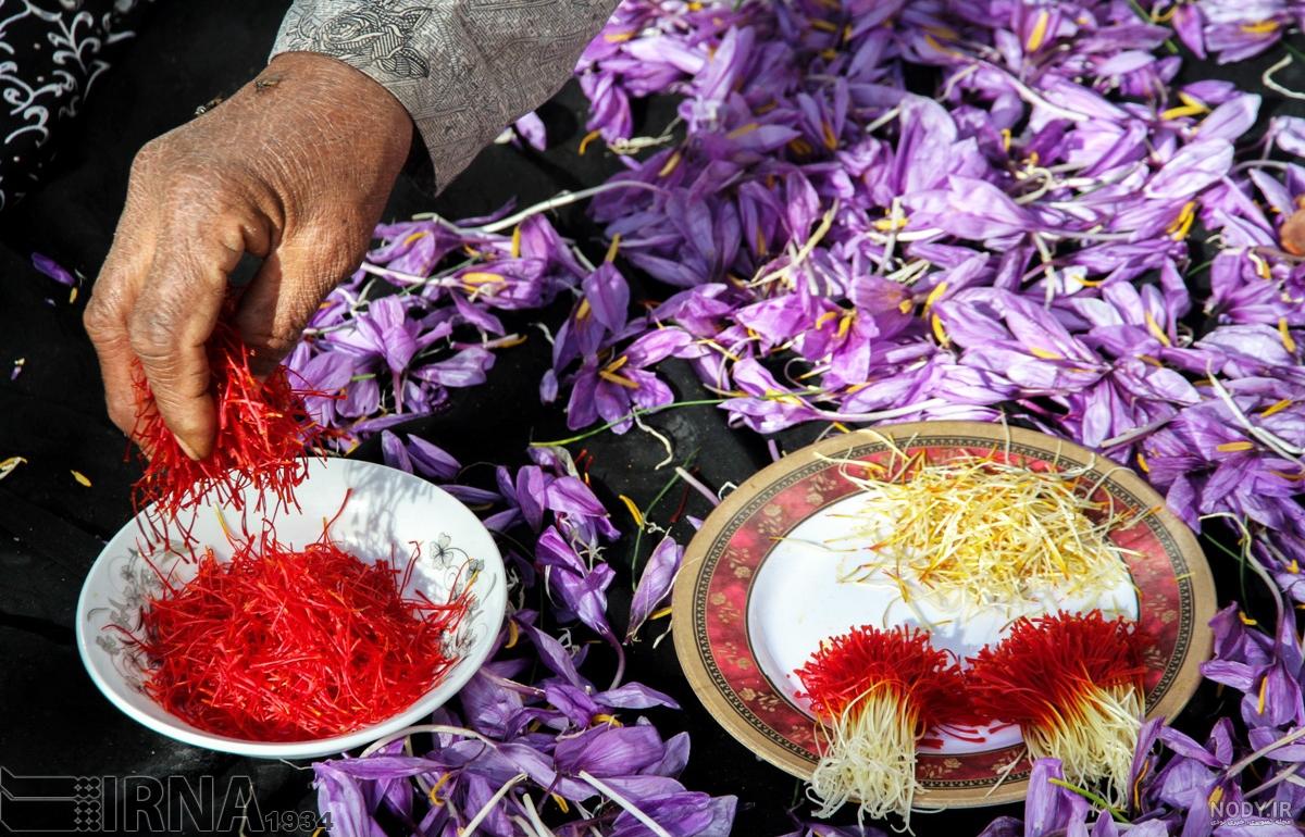 عکاسی تبلیغاتی به انگلیسی عکاسی تبلیغاتی به انگلیسی