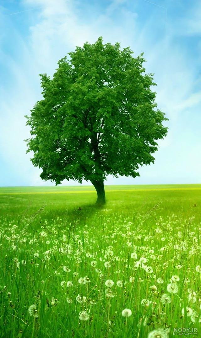 عکس از طبیعت زیبا جدید