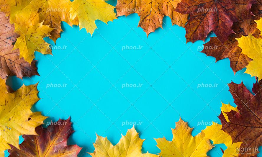 عکس برگ برای پس زمینه