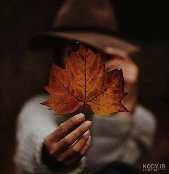 عکس برگ برای پس زمینه عکس برگ برای پس زمینه
