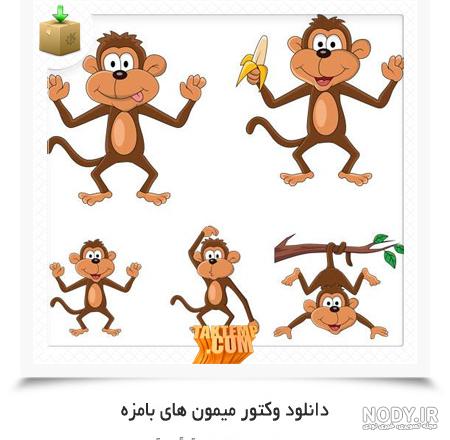 عکس خرس کارتونی بامزه