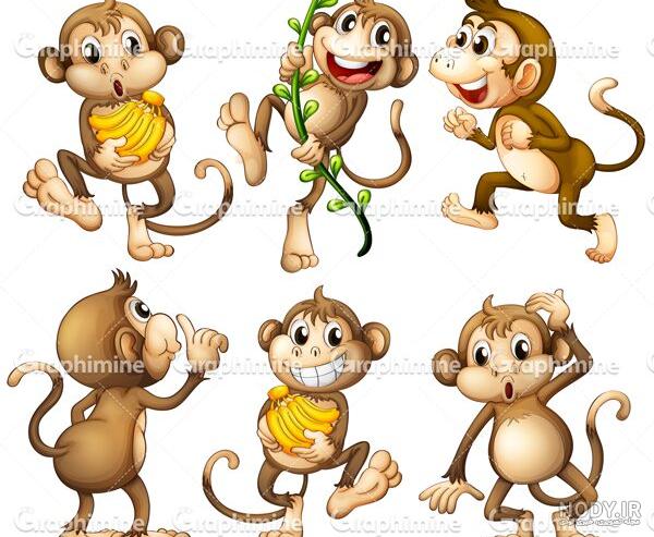 عکس میمون خنده دار