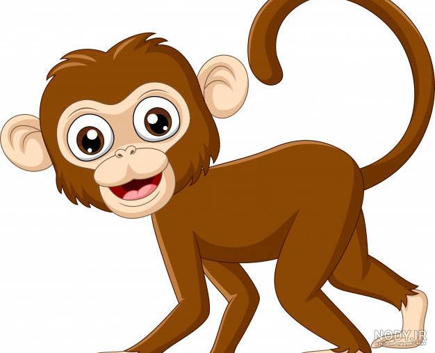 عکس میمون فانتزی