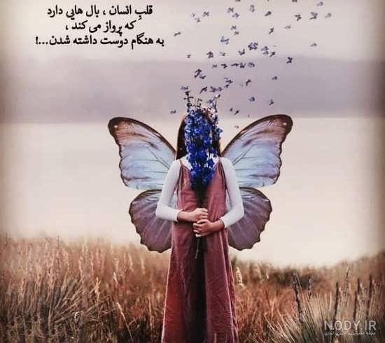 عکس پروفایل پروانه دخترانه عکس پروفایل پروانه دخترانه