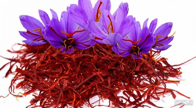 مقاله عکاسی تبلیغاتی مقاله عکاسی تبلیغاتی