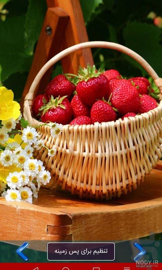 پس زمینه شلوغ پس زمینه شلوغ