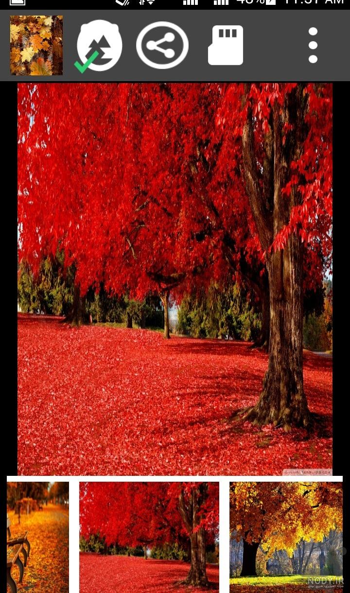 زیباترین عکس پاییزی دنیا