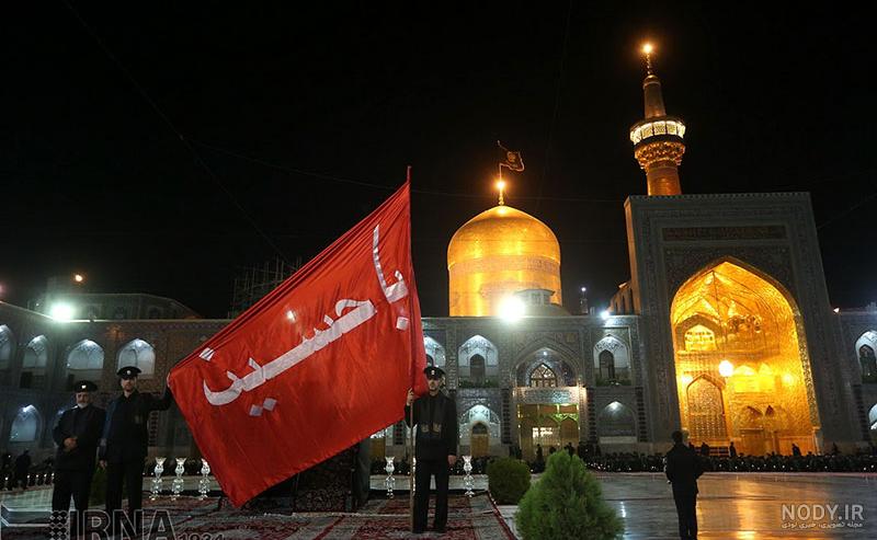 عکس حرم امام رضا با کبوتر